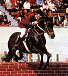 Старостин Анатолий (конкур)