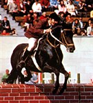 Старостин Анатолий [спорт]