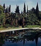 Сухуми (ботанический сад)