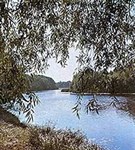 Тамбовская область (Цна)