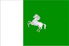 Томск (флаг)