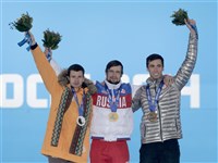 Третьяков Александр Владимирович, Сочи (2014)