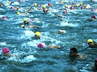 Триатлон (плавание) [спорт]