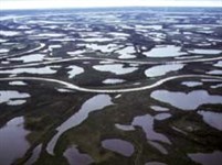 Тундра (летняя)