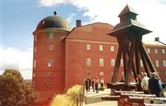 Уппсала (крепость)