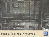 Условные рефлексы (видео)