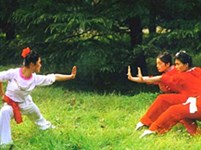 Ушу (восточное единоборство) [спорт]