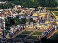 Фонтенбло (вид)