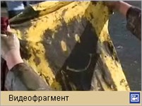 Форест Гамп (пробег)