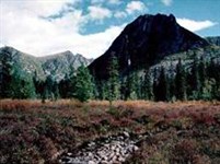 Хабаровский край (заповедник)