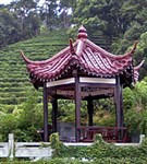 Ханчжоу (в окрестностях)