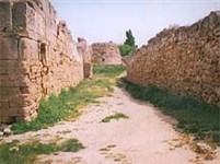 Херсонес (античная улица)