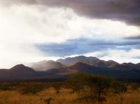 Цаво (вулканические холмы)