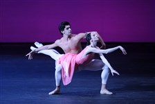 Цискаридзе Николай, Лунькина Светлана (Гибель розы, Большой театр, 2008)