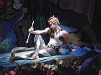 Цискаридзе Николай Максимович (Послеполуденный отдых фавна, Большой театр, 2013)