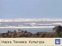 Цунами (2004, видео)