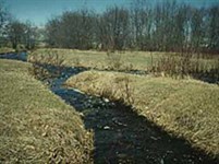 Читинская область (Забайкалье)