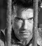 Шварценеггер Арнольд (Возмещение ущерба)