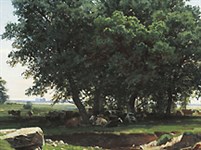 Шишкин Иван Иванович (Дубки)