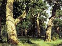 Шишкин Иван Иванович (Дубовая роща)