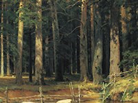 Шишкин Иван Иванович (Корабельная роща)