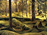 Шишкин Иван Иванович (Лесное кладбище)