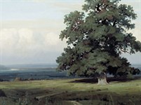 Шишкин Иван Иванович (Среди долины ровныя)