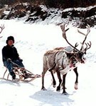 Эвенки (День оленевода)