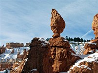 Юта (Национальный парк «Брайс Кэньон». Каменная ваза)