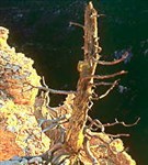 Юта (Рейнбоу-Пойнт)