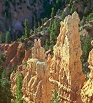 Юта (Фэриленл-Пойнт)