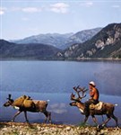 Якутия (летний пейзаж)