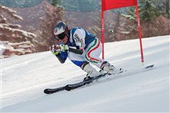 Алипрандини Лука де (2010)