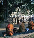 Бодх-Гая (Древо Бодхи)