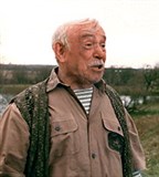 Быков Ролан Анатольевич («Золотое дно»)