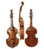 Виола французская