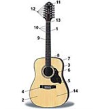 Гитара (шести- и семиструнная)