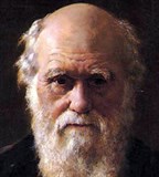 Дарвин Чарлз Роберт (портрет)