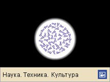 Дезоксирибонуклеиновые кислоты (строение, анимация)