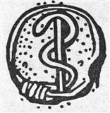 Змея 4 (символ)