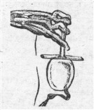 Ключ 2 (символ)