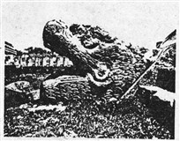 Майя (символ)