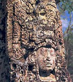 Майя (стела из Копана)