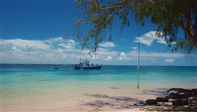 Пангаимоту остров, Тонга (2008)