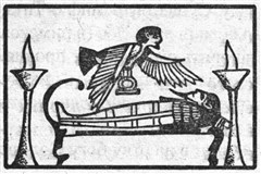 Птицы (символ)