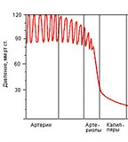 Уровень кровяного давления