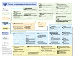Организационная структура ООН
