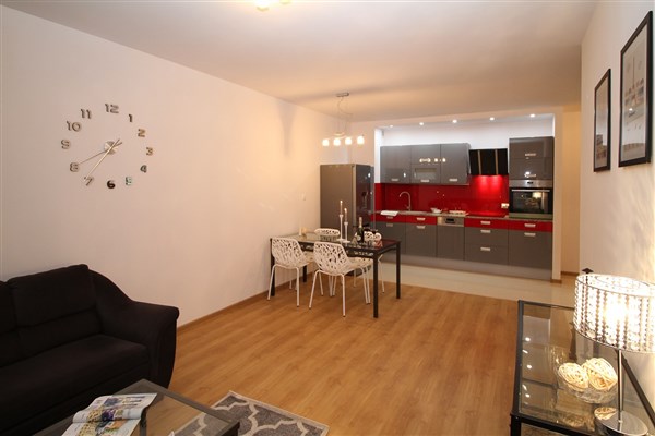 media8473748397449033