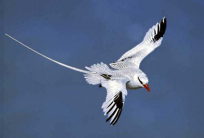 mediapreview?Key=%D0%9A%D1%80%D0%B0%D1%8