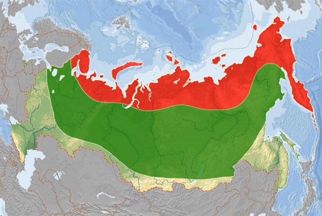 Ареал обитания ирбиса в россии. Южный ареал. Анаконда ареал обитания на карте. Южный ареал. Удод ареал обитания.